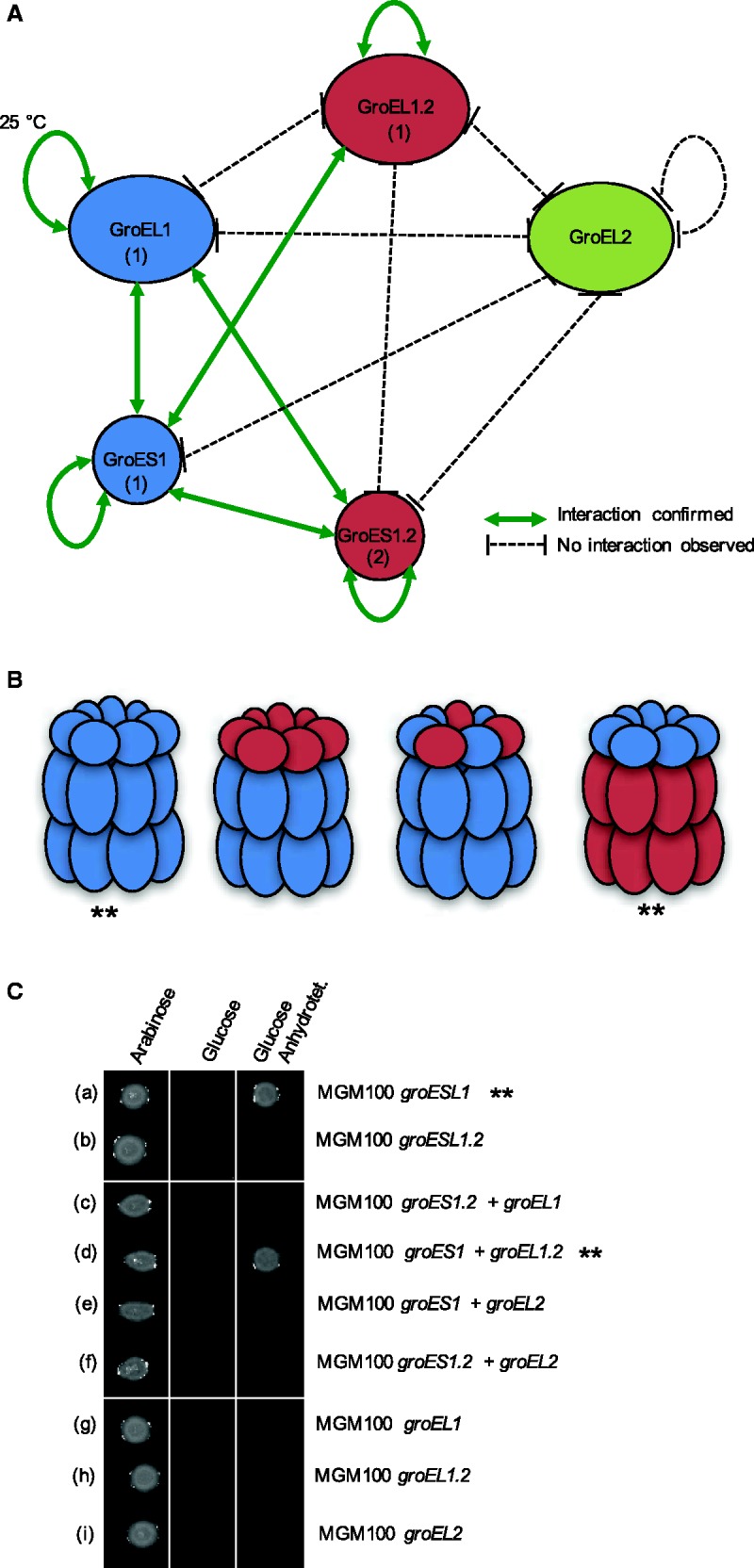 Fig. 4.—