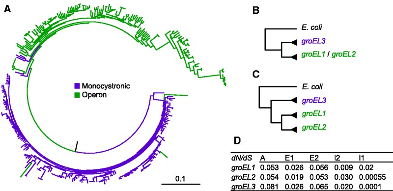 Fig. 1.—