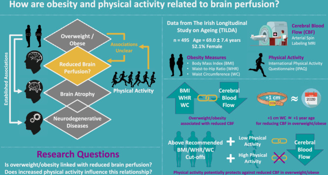 Image, graphical abstract