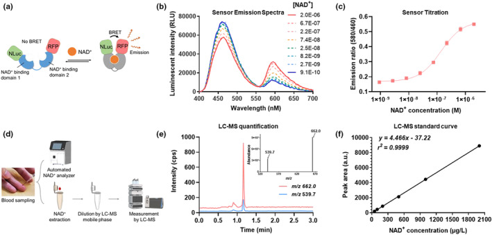 FIGURE 1