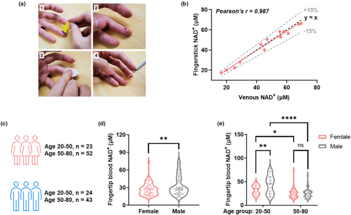 FIGURE 3