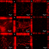 Fig 9