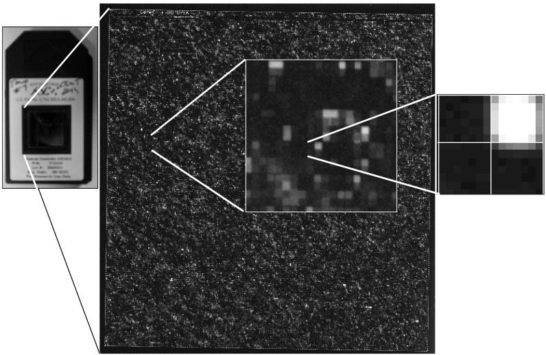 Fig. (2)