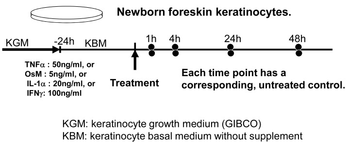 Fig. (3)