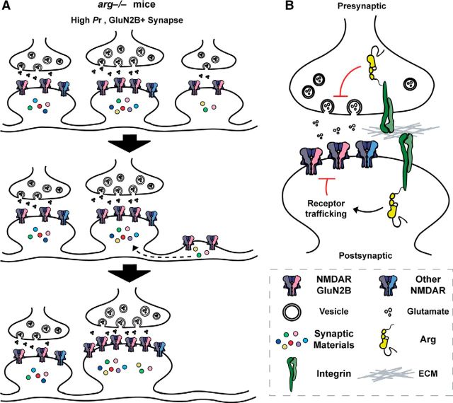 Figure 10.