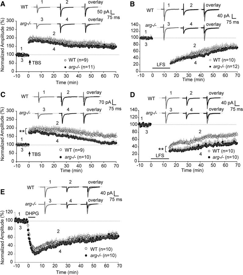 Figure 9.