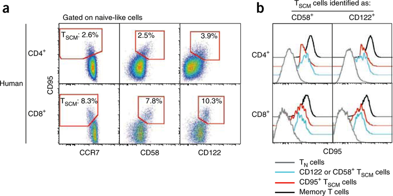 Figure 3|