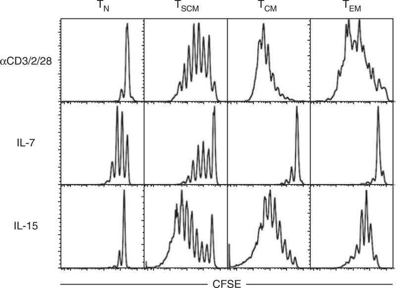 Figure 5|