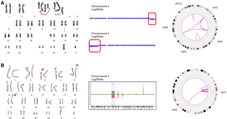 Figure 6