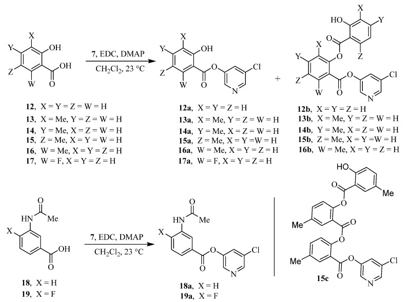 Scheme 2