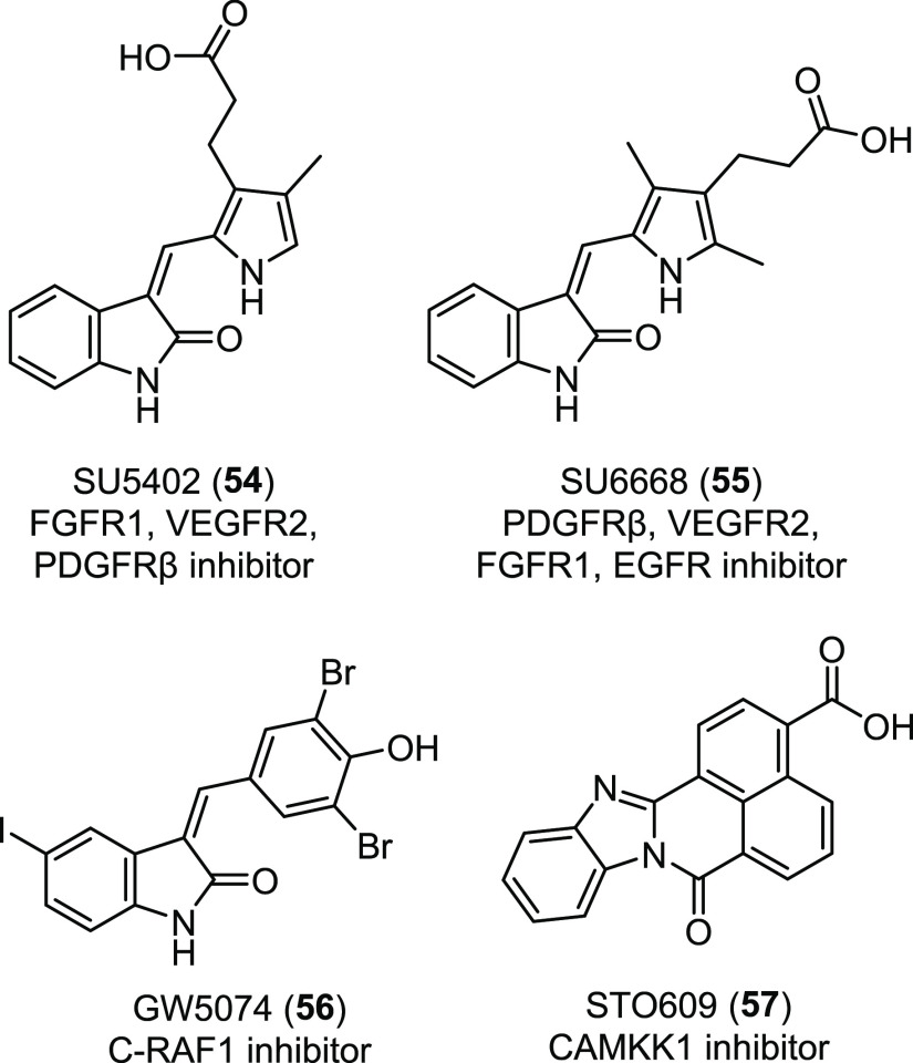 Figure 24