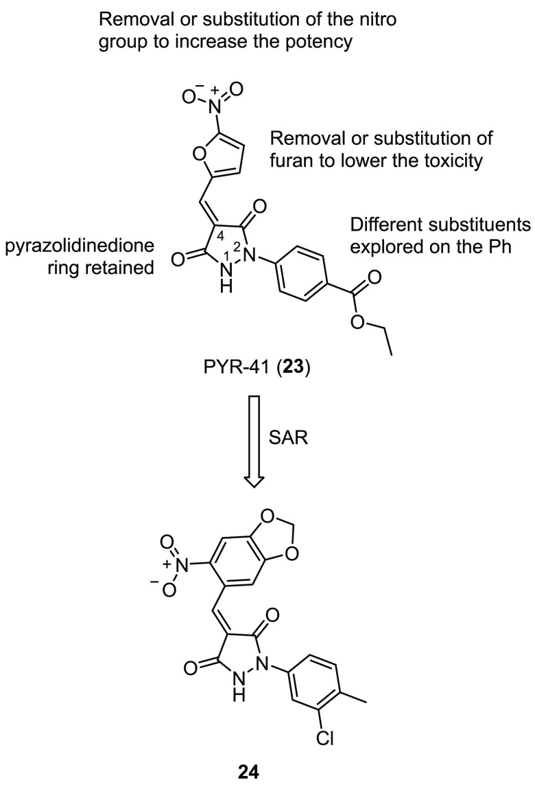 Figure 13