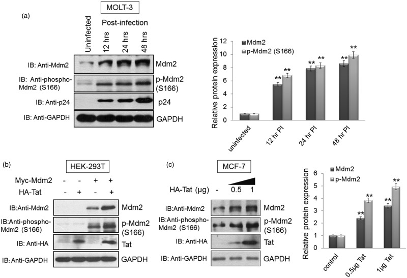 Figure 3.