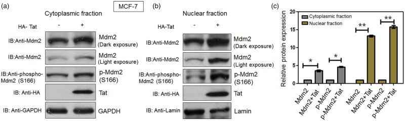 Figure 5.