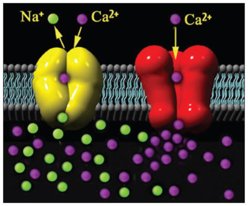 FIGURE 3