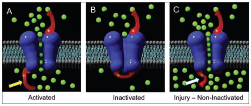 FIGURE 2