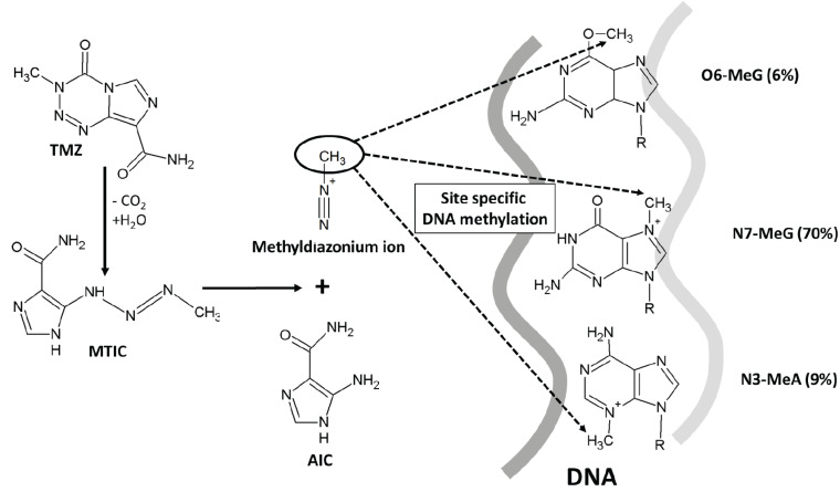 Fig. (2)