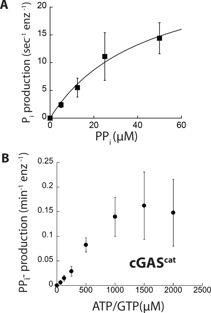 Figure 3—figure supplement 1.