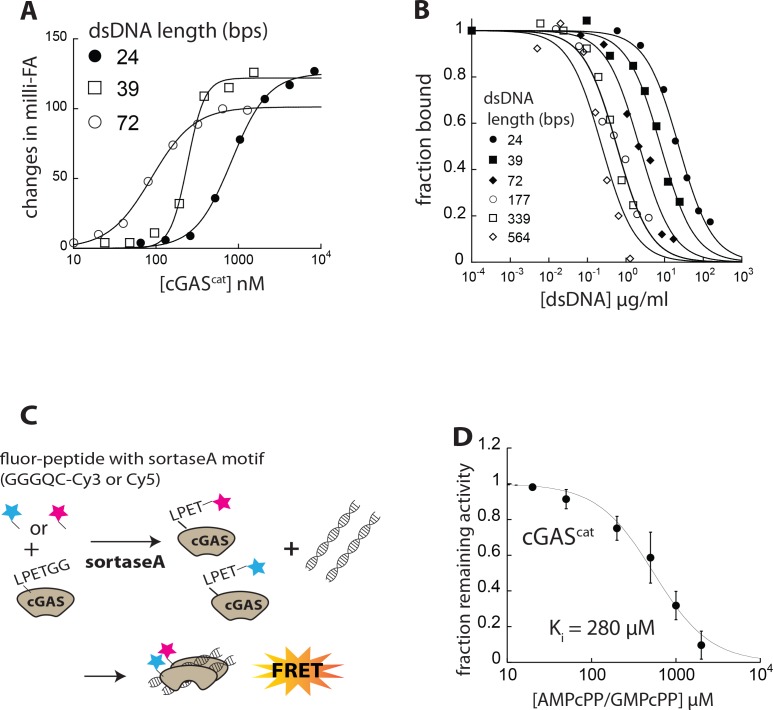 Figure 2—figure supplement 1.