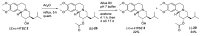 Scheme 4