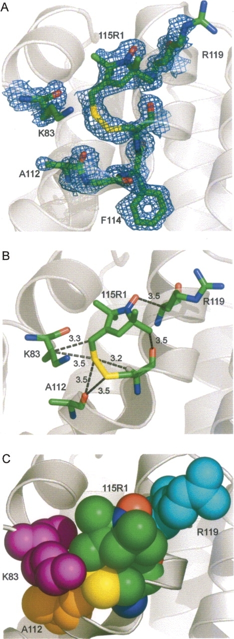 Figure 5.