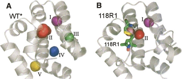 Figure 12.