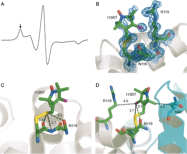 Figure 9.