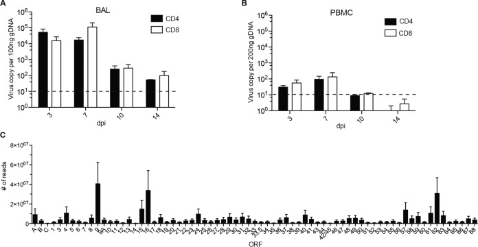 FIG 3