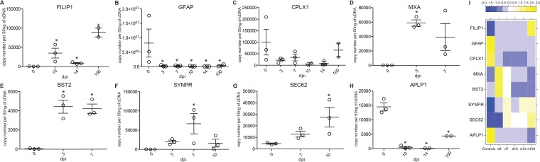 FIG 6