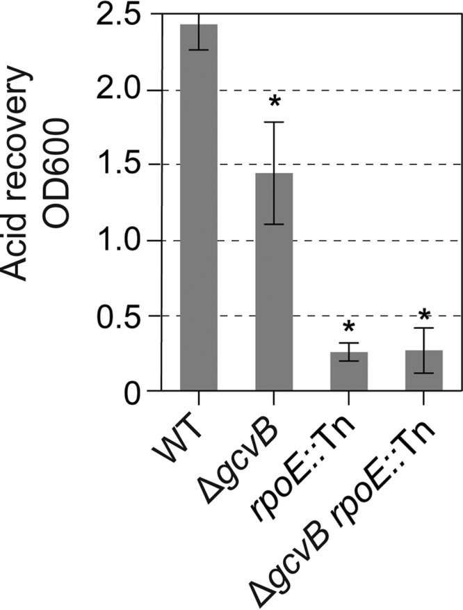 FIG 6