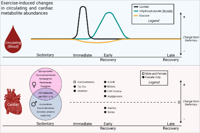 Image, graphical abstract