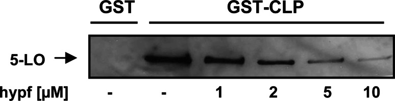 Fig. 7