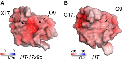 Figure 6.