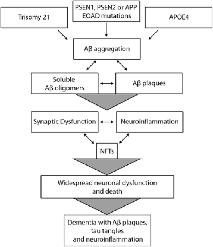 Fig. 1