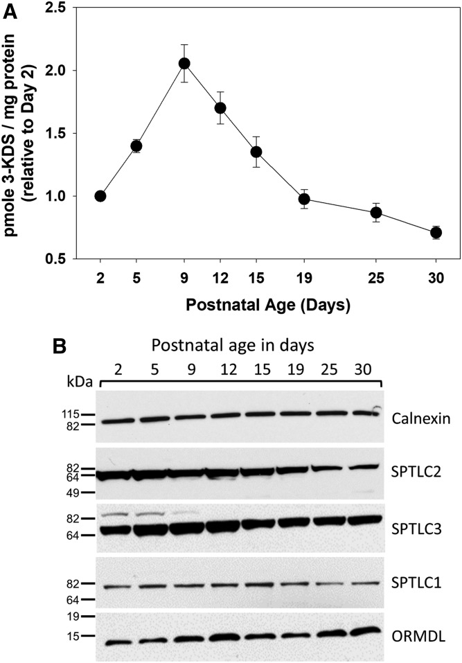 Fig. 5.