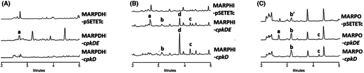 FIGURE 4