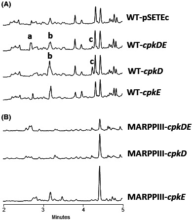 FIGURE 3