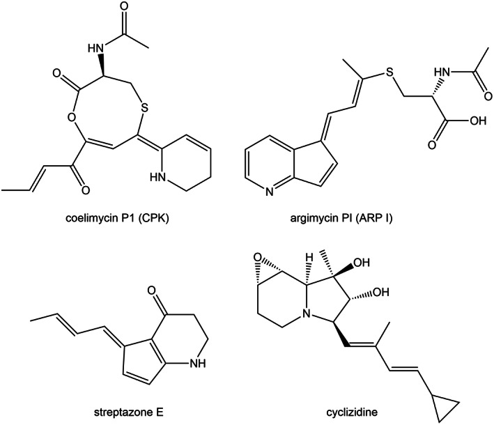 FIGURE 1