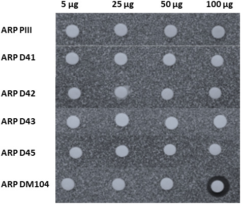 FIGURE 6