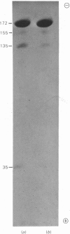 96