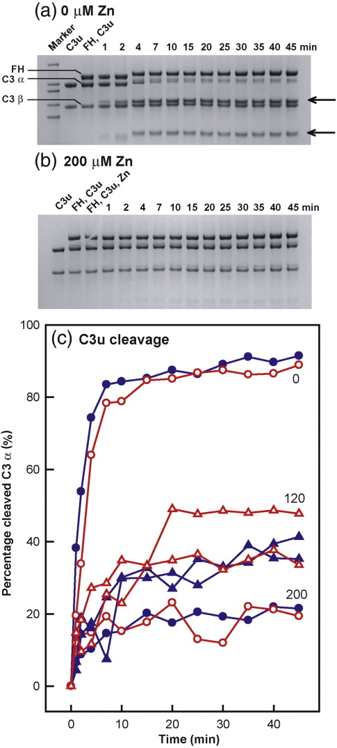 Fig. 9