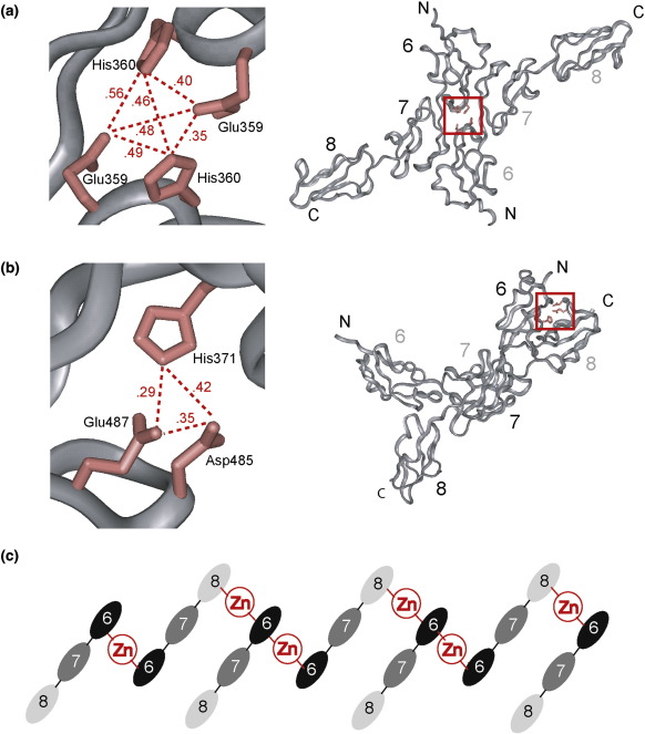 Fig. 10