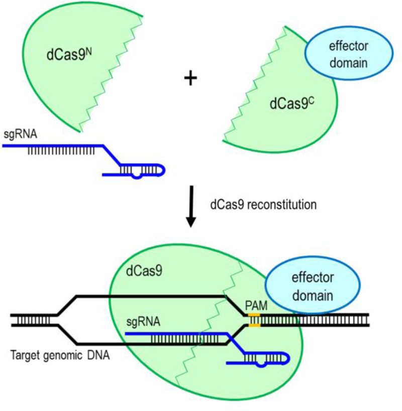 Figure 2.