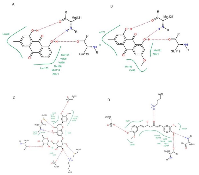 Figure 13