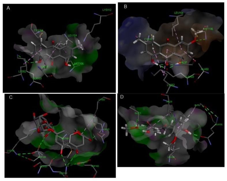 Figure 10