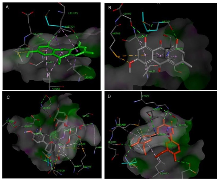 Figure 12