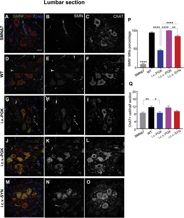 Figure 6