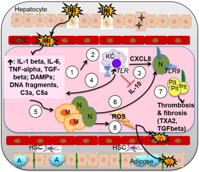 Figure 3: