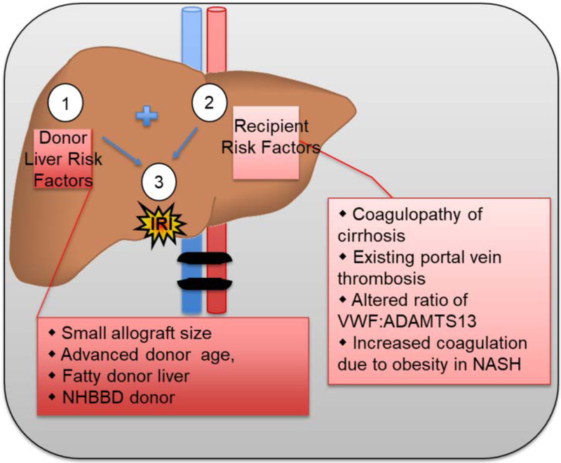 Figure 2: