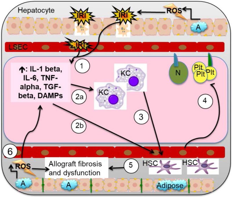 Figure 5: